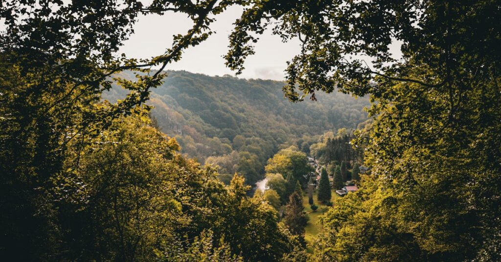 Manifold Valley Way - wooded valley.